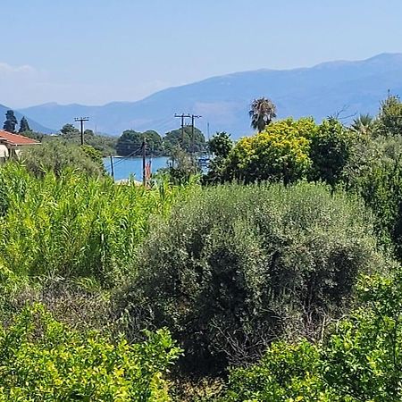 Villa Petros Nydri  Dış mekan fotoğraf